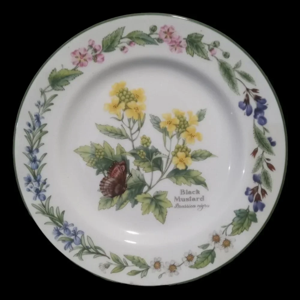 Royal Worcester Herbs Bread and Butter Plates Black Mustard Set Of Two 6.75